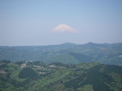 IMGP0407.JPG